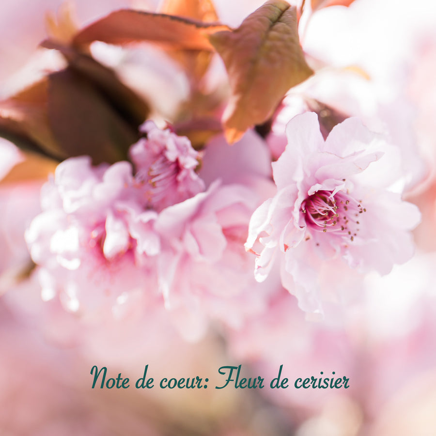 Les Cerisiers En Fleurs, The Eau de Toilette Full of Spring Happiness